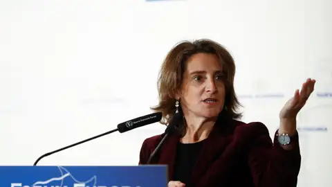 La ministra de Transición Ecológica, Teresa Ribera La ministra de Transición Ecológica, Teresa Ribera
