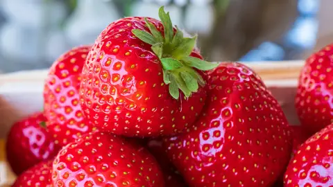 Fresas Fresas