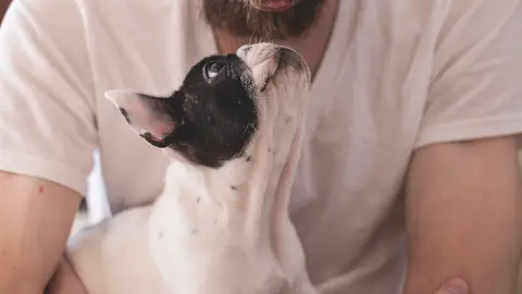 Perro con su dueño. Perro con su dueño.