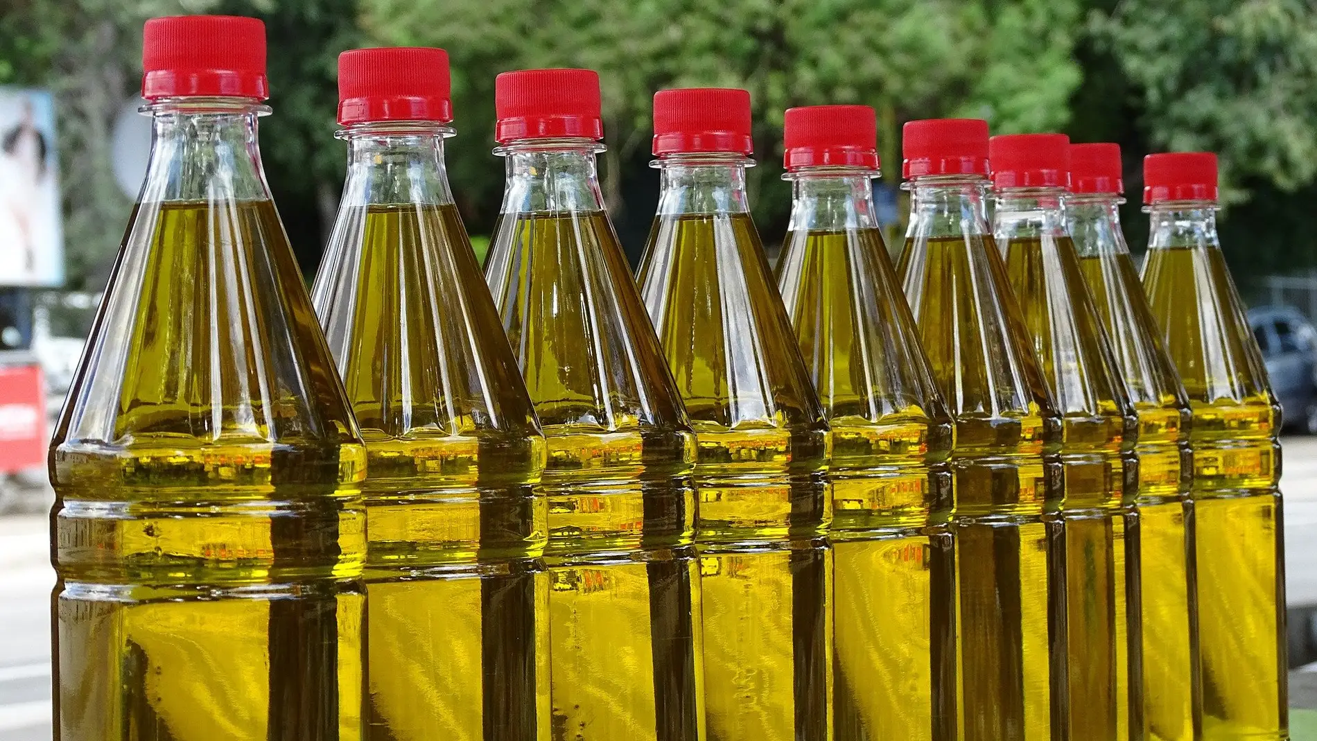 Aceites de oliva sin marca