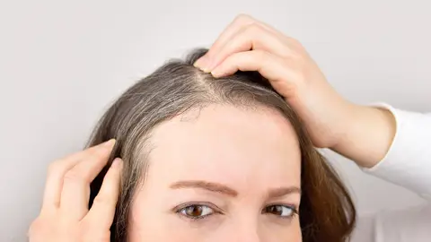 Canas Canas