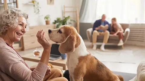 Una mujer jugando con su perro Una mujer jugando con su perro