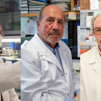 Los investigadores Luis Enjuanes, Mariano Esteban y Vicente Larraga 