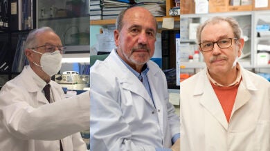 Los investigadores españoles del CSIC mayores de 70 años que pausaron su jubilación para buscar una vacuna contra la COVID