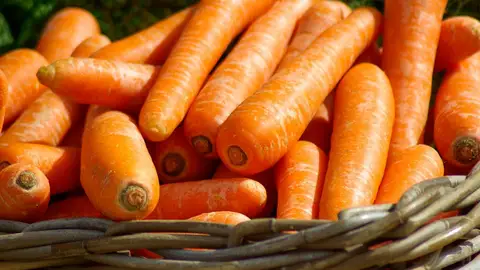 Zanahorias Zanahorias