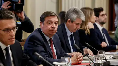 El ministro de Agricultura, Pesca y Alimentación, Luis Planas El ministro de Agricultura, Pesca y Alimentación, Luis Planas