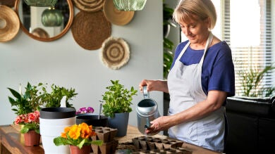 Las amas de casa ya tienen derecho a una pensión: estos son los requisitos