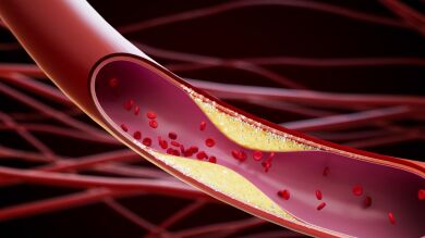 Descubren una vía para potenciar el efecto de los fármacos que reducen el colesterol