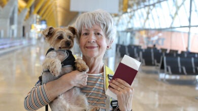 ¿Tiene DNI tu perro? Con la nueva Ley de Bienestar Animal es obligatorio