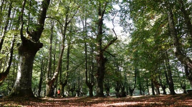 El fin de semana abrirá la puerta a 