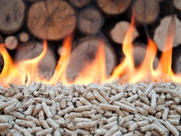 Pellets y le&ntilde;a