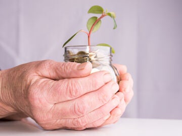 Pensi&oacute;n de viudedad