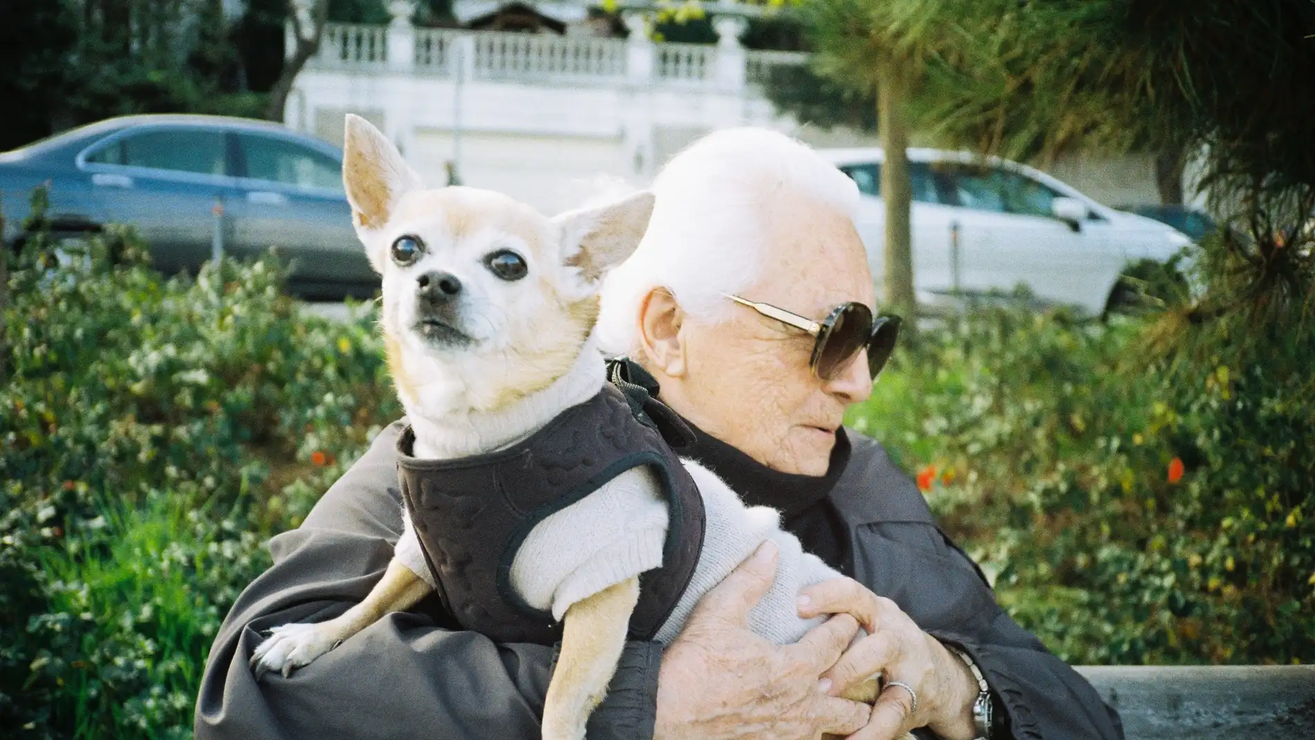 Hombre mayor con su mascota