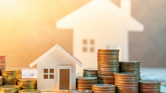 Vivienda en alquiler Vivienda en alquiler