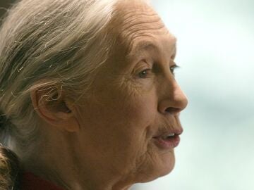 La etóloga Jane Goodall