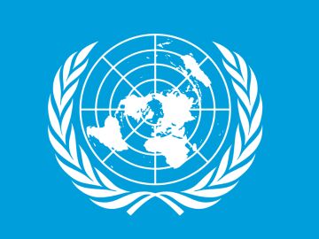 Bandera de la Organizaci&oacute;n de las Naciones Unidas
