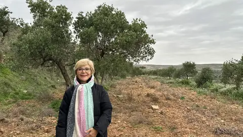 El olivar de Pilar El olivar de Pilar