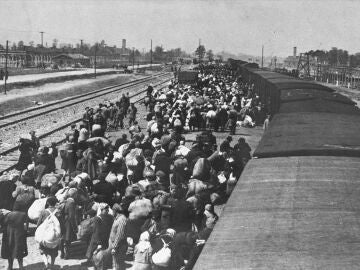 Jud&iacute;os llegando a Auschwitz
