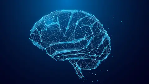 Cerebro Cerebro