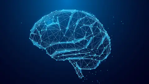 Un nuevo modelo de IA mide la velocidad a la que envejece el cerebro Un nuevo modelo de IA mide la velocidad a la que envejece el cerebro