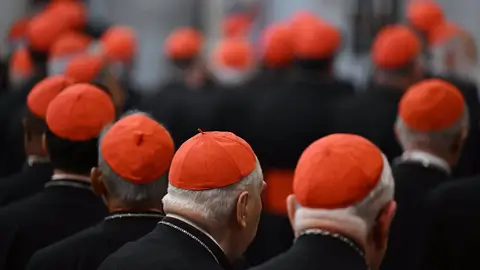 Cardenales Cardenales