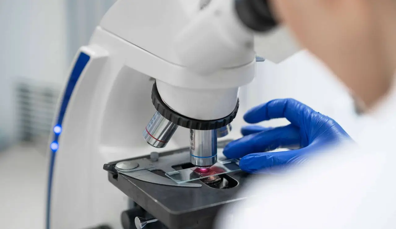 La falta de una proteína inicia el cáncer de colon en ratones