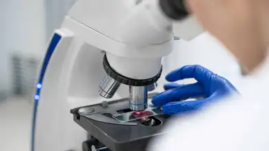 Sanidad amplia la edad del cribado del cáncer de colon hasta los 74 años Sanidad amplia la edad del cribado del cáncer de colon hasta los 74 años