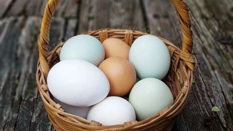 Huevos blancos, marrones y azulados