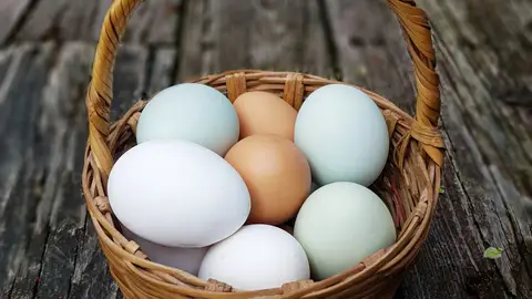 Huevos blancos, marrones y azulados Huevos blancos, marrones y azulados