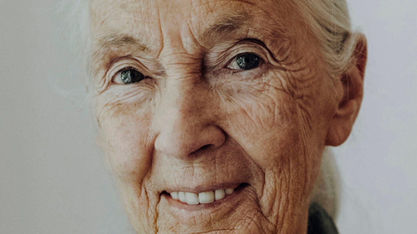 Jane Goodall