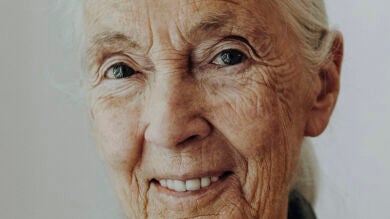Jane Goodall: la historia de la científica que nunca se detuvo y sigue en activo a los 90 años