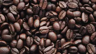 Granos de café tostado