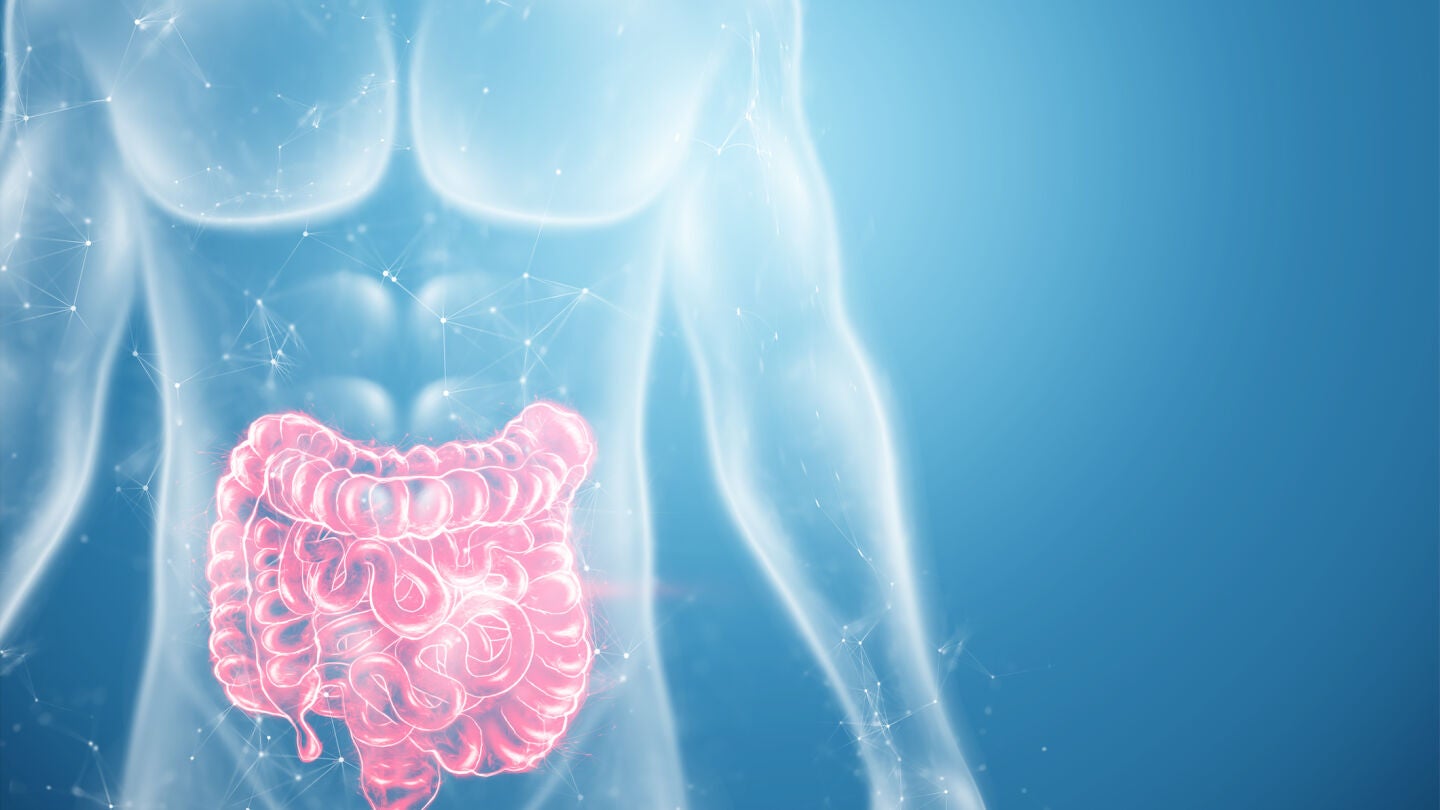 Intestino grueso