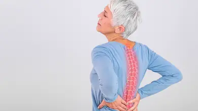 La Sociedad Española de Columna Vertebral destaca que el dolor de espalda por edad  La Sociedad Española de Columna Vertebral destaca que el dolor de espalda por edad