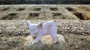 Tumba de una mascota