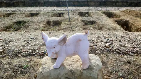 Tumba de una mascota Tumba de una mascota