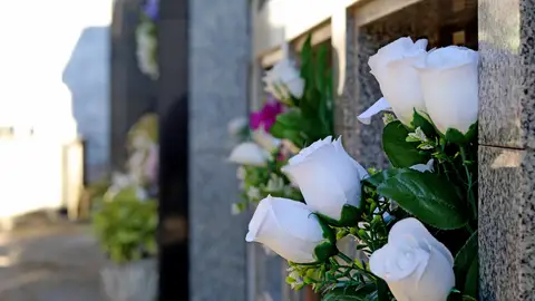 Flores en nicho Flores en nicho