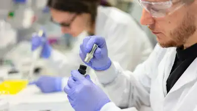 Identifican un marcador en sangre que podría ser clave en fases iniciales del alzhéimer Identifican un marcador en sangre que podría ser clave en fases iniciales del alzhéimer