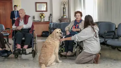 Los animales abren la puerta al bienestar emocional de las personas mayores Los animales abren la puerta al bienestar emocional de las personas mayores
