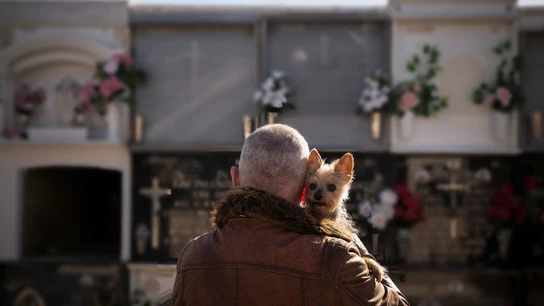 Hombre con un perro en un cementerio Hombre con un perro en un cementerio