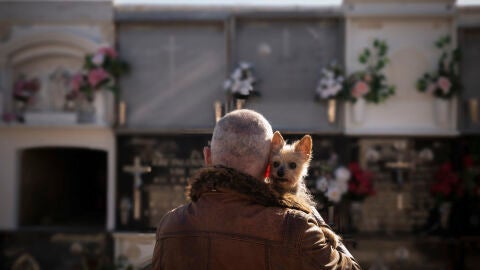 Hombre con un perro en un cementerio