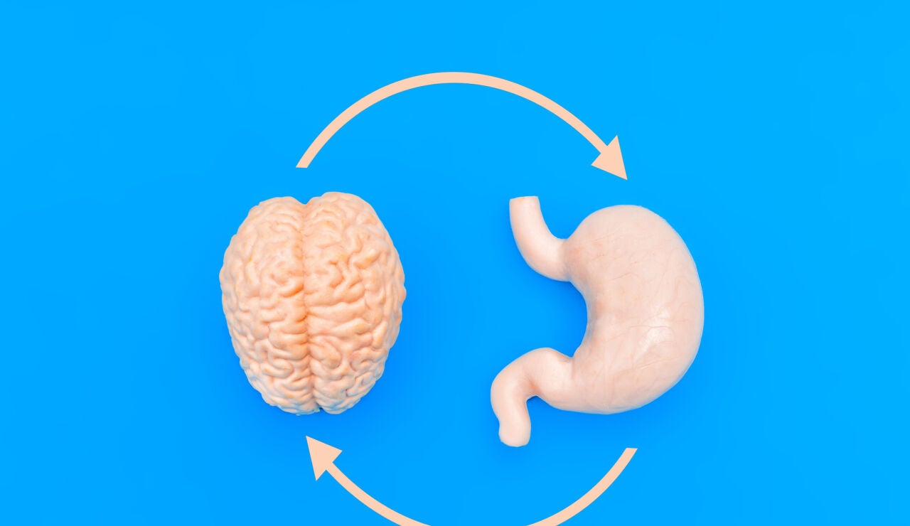 Cerebro y est&oacute;mago