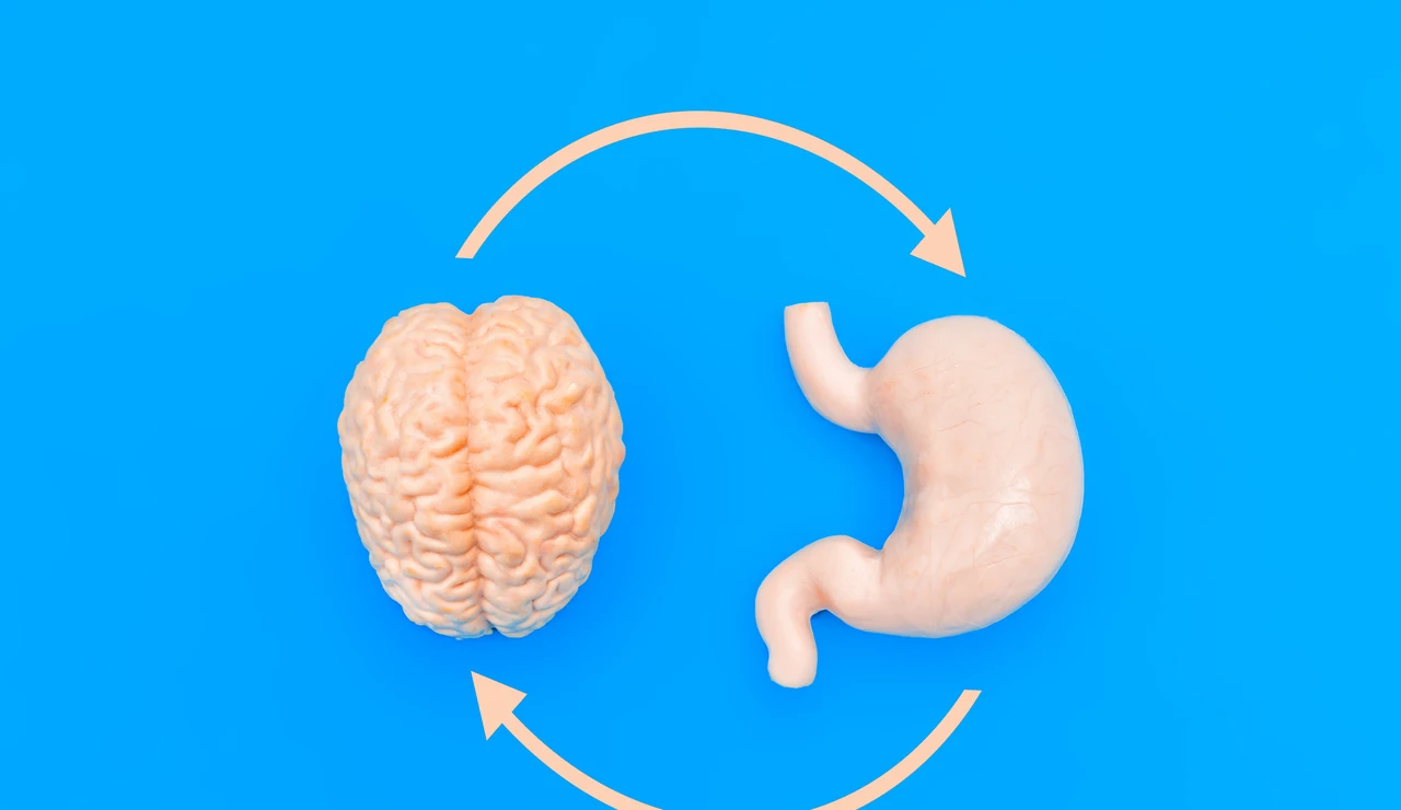 Cerebro y estómago