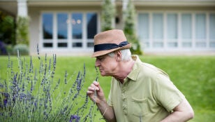 Hombre oliendo flores de lavanda