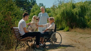 Terapia con animales