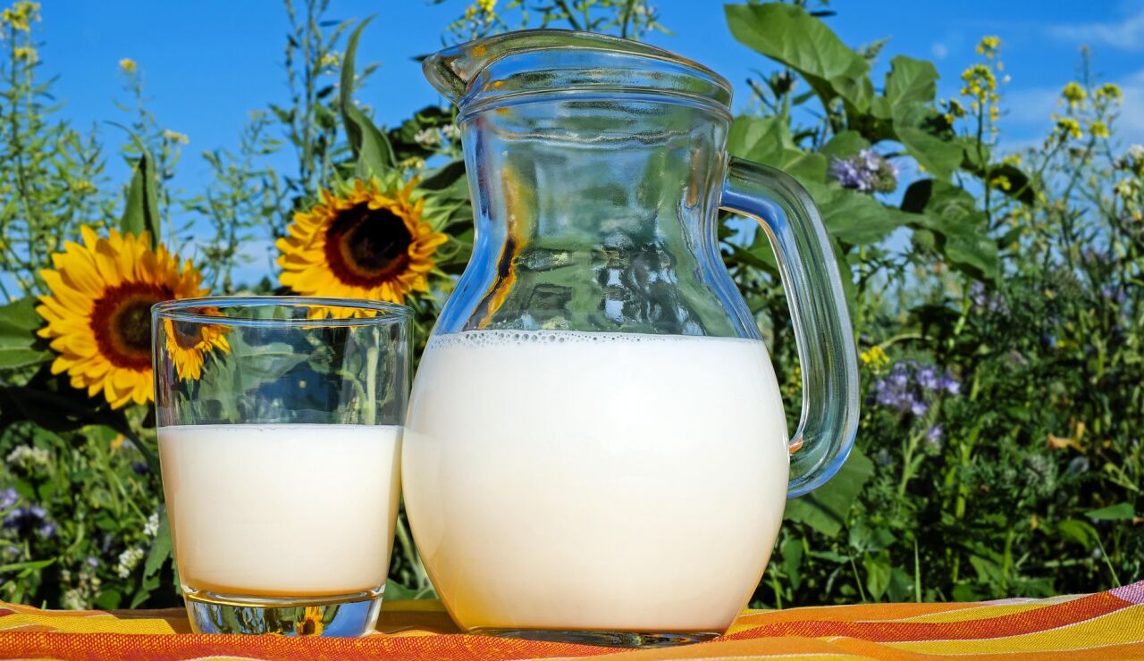Qu&eacute; dice la evidencia cient&iacute;fica sobre la inflamaci&oacute;n por la leche y cu&aacute;les son sus beneficios reales