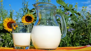 Qué dice la evidencia científica sobre la inflamación por la leche y cuáles son sus beneficios reales Qué dice la evidencia científica sobre la inflamación por la leche y cuáles son sus beneficios reales
