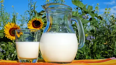 Qué dice la evidencia científica sobre la inflamación por la leche y cuáles son sus beneficios reales Qué dice la evidencia científica sobre la inflamación por la leche y cuáles son sus beneficios reales