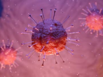 Una mol&eacute;cula del organismo reduce la inflamaci&oacute;n y el da&ntilde;o cerebral tras un ictus, seg&uacute;n un estudio precl&iacute;nico