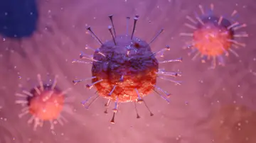 Una molécula del organismo reduce la inflamación y el daño cerebral tras un ictus, según un estudio preclínico Una molécula del organismo reduce la inflamación y el daño cerebral tras un ictus, según un estudio preclínico